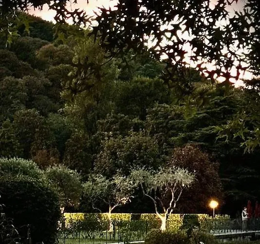 Apartamento - Maderni View