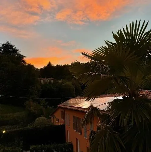 - Maderni View *