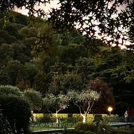 Apartamento - Maderni View